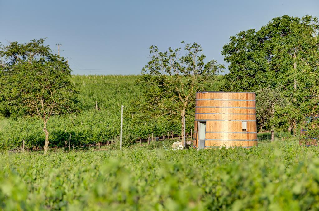Saint-Jean-de-Blaignac Coup 2 Foudres Bed & Breakfast エクステリア 写真
