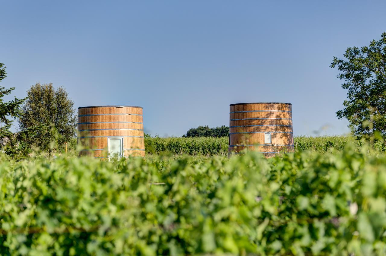 Saint-Jean-de-Blaignac Coup 2 Foudres Bed & Breakfast エクステリア 写真